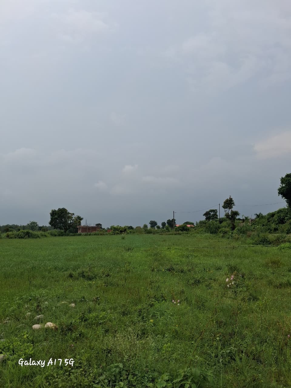 Property view 2
